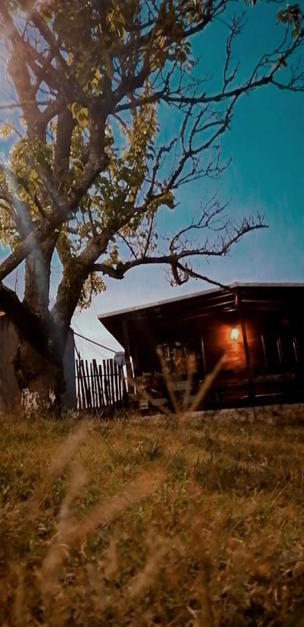 Cabana Do Sol トーレス・ヴェドラス エクステリア 写真
