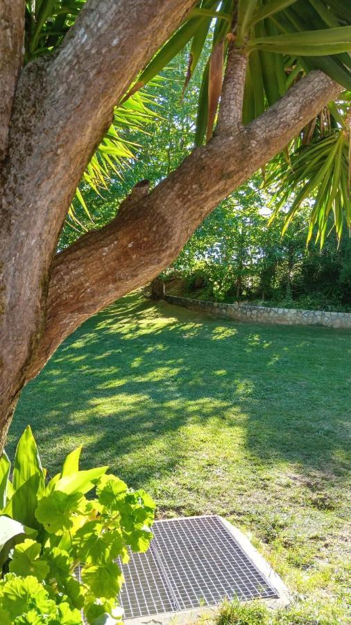 Cabana Do Sol トーレス・ヴェドラス エクステリア 写真